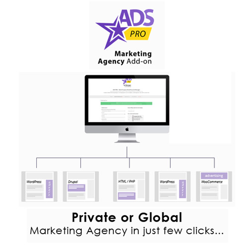 Ads Pro Add-on - WordPress Marketing Agency Ads Pro Add-on - WordPress Marketing Agency