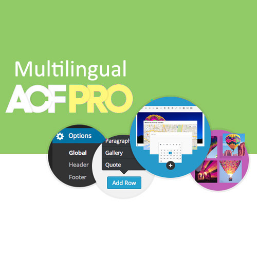 Advanced Custom Fields Multilingual Advanced Custom Fields Multilingual