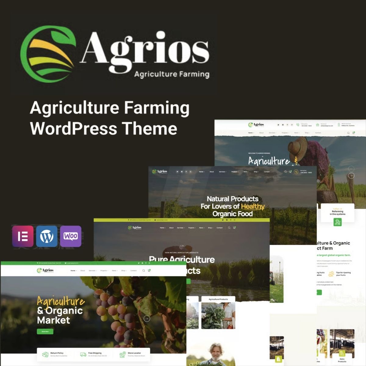 Agrios - Agriculture Farming WordPress Theme Agrios - Agriculture Farming WordPress Theme