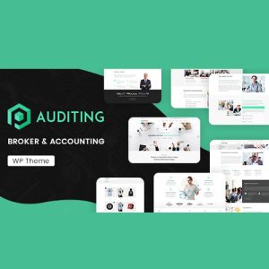 Auditing | Accounting Consultant, Finance WordPress Theme