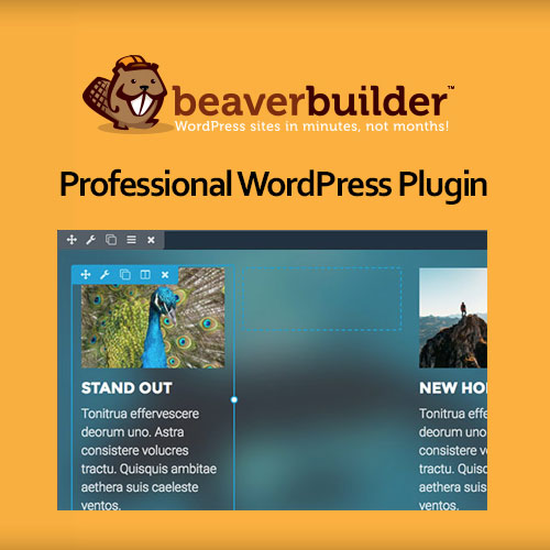 Beaver Builder Professional WordPress Plugin Beaver Builder Professional WordPress Plugin
