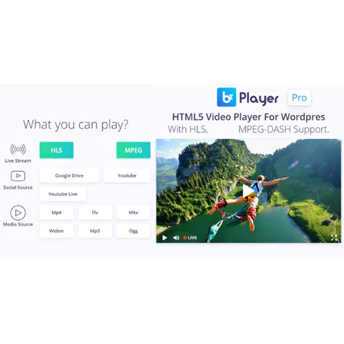 bzplayer Pro - Live Streaming Player WordPress Plugin bzplayer Pro - Live Streaming Player WordPress Plugin