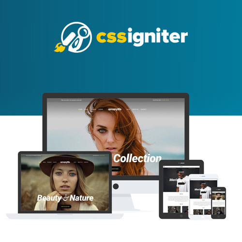 CSS Igniter Amaryllis WordPress Theme CSS Igniter Amaryllis WordPress Theme