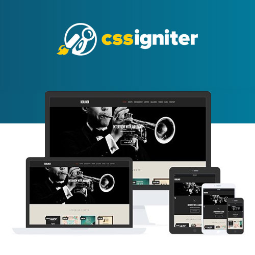 CSS Igniter Berliner WordPress Theme CSS Igniter Berliner WordPress Theme