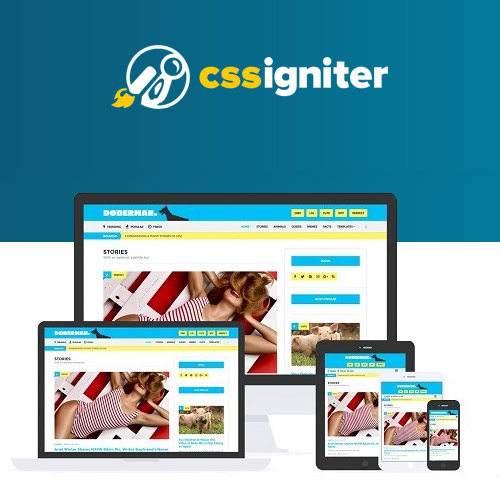 CSS Igniter Doberman WordPress Theme CSS Igniter Doberman WordPress Theme