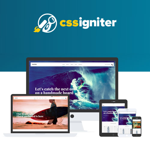 CSS Igniter Flevr Woocommerce Theme CSS Igniter Flevr Woocommerce Theme