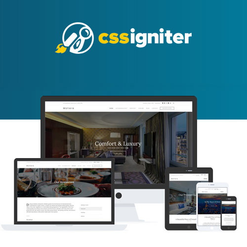 CSS Igniter Moliere WordPress Theme CSS Igniter Moliere WordPress Theme
