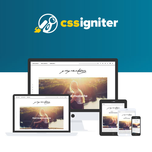 CSS Igniter Paperbag WordPress Theme CSS Igniter Paperbag WordPress Theme