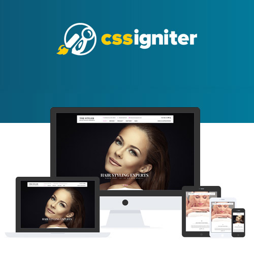 CSS Igniter The Styler WordPress Theme CSS Igniter The Styler WordPress Theme