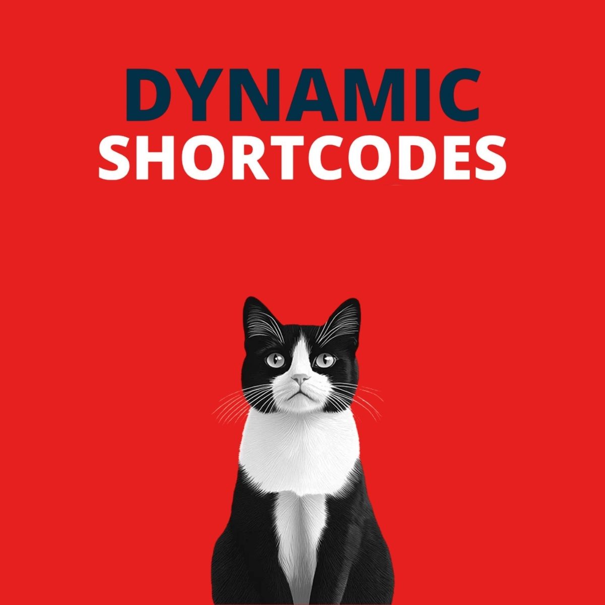 Dynamic Shortcodes Dynamic Shortcodes