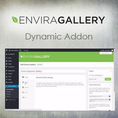 Envira Gallery - Dynamic Addon Envira Gallery - Dynamic Addon