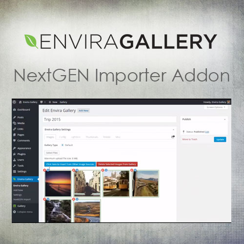 Envira Gallery - NextGEN Importer Addon Envira Gallery - NextGEN Importer Addon