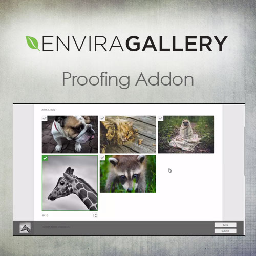 Envira Gallery - Proofing Addon Envira Gallery - Proofing Addon