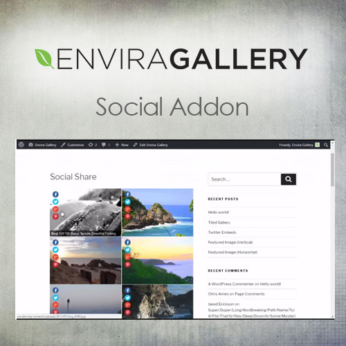 Envira Gallery - Social Addon Envira Gallery - Social Addon