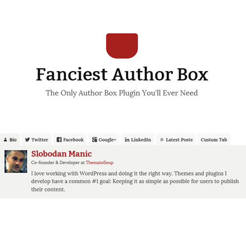 Fanciest Author Box Fanciest Author Box