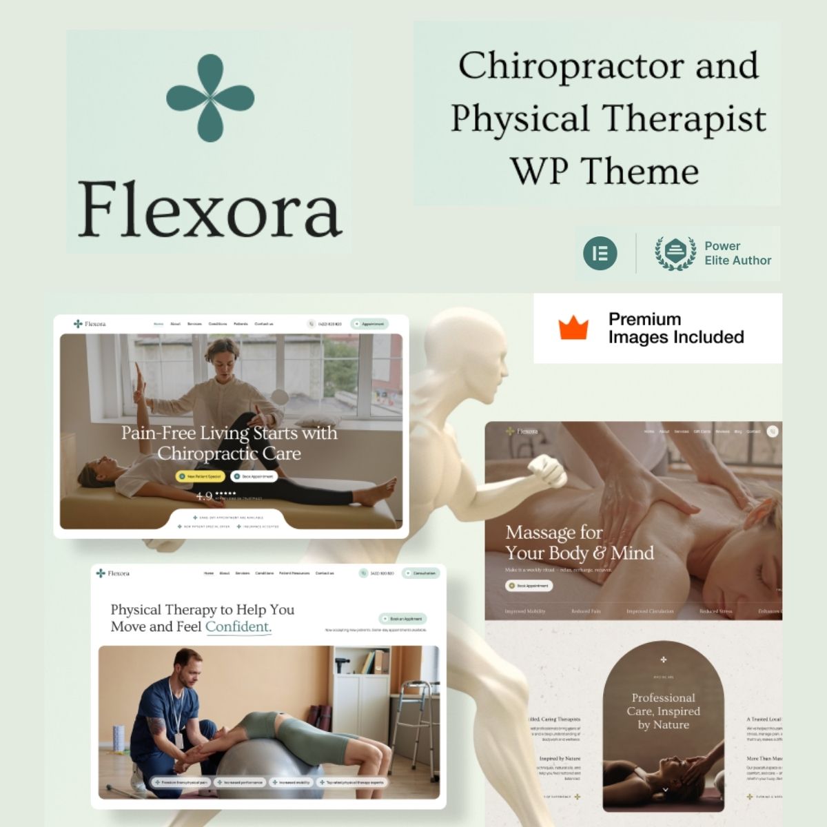 Flexora – Chiropractors Message and Physical Therapists WordPress Theme Flexora – Chiropractors Message and Physical Therapists WordPress Theme