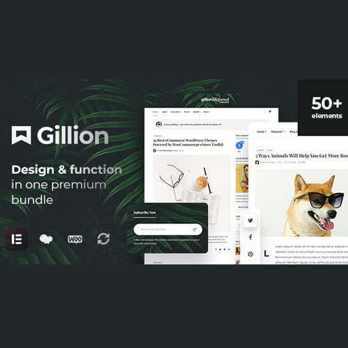 Gillion | Multi-Concept Blog/Magazine & Shop WordPress AMP Theme Gillion | Multi-Concept Blog/Magazine & Shop WordPress AMP Theme