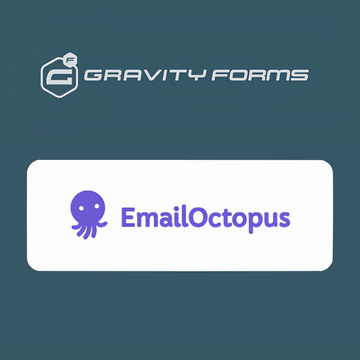 Gravity Forms EmailOctopus Add-On Gravity Forms EmailOctopus Add-On