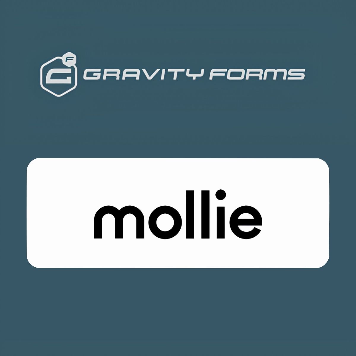 Gravity Forms Mollie Add-On Gravity Forms Mollie Add-On