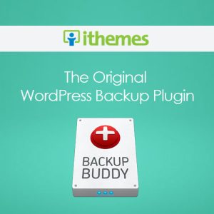 IThemes BackupBuddy WordPress Plugin