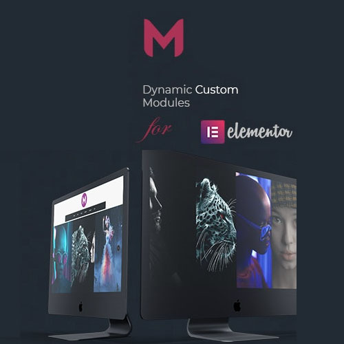 Modulify | Modules Addon for Elementor Page Builder Modulify | Modules Addon for Elementor Page Builder