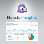 MonsterInsights - eCommerce Addon