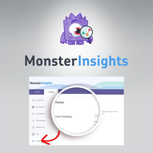MonsterInsights - Forms Tracking Addon MonsterInsights - Forms Tracking Addon