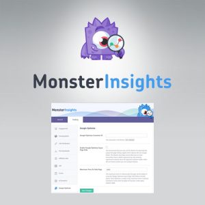 MonsterInsights - Google Optimize Addon