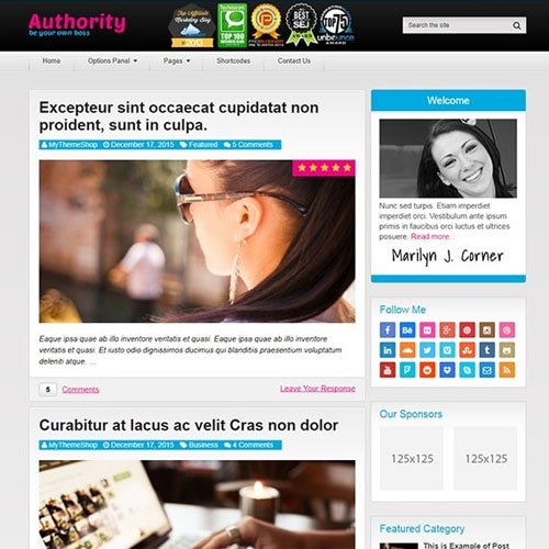 MyThemeShop Authority WordPress Theme MyThemeShop Authority WordPress Theme