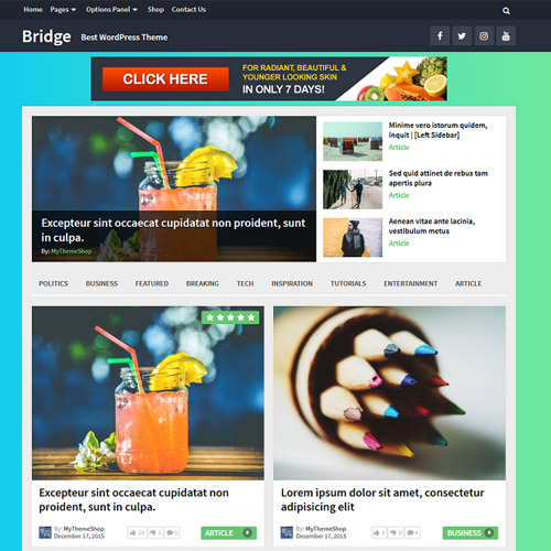 MyThemeShop Bridge WordPress Theme MyThemeShop Bridge WordPress Theme