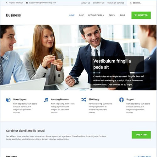 MyThemeShop Business WordPress Theme MyThemeShop Business WordPress Theme