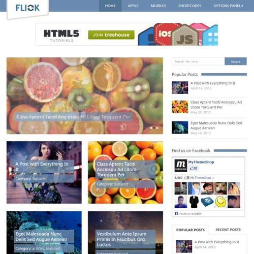 MyThemeShop Flick WordPress Theme MyThemeShop Flick WordPress Theme