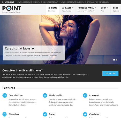 MyThemeShop Point Pro WordPress Theme MyThemeShop Point Pro WordPress Theme