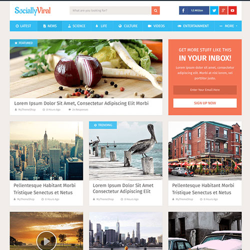 MyThemeShop SociallyViral WordPress Theme MyThemeShop SociallyViral WordPress Theme