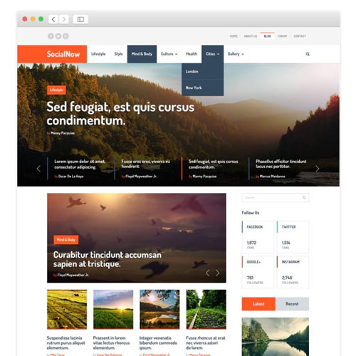 MyThemeShop SocialNow WordPress Theme MyThemeShop SocialNow WordPress Theme