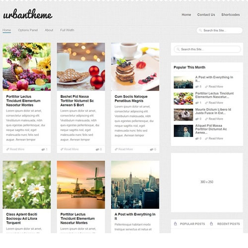 MyThemeShop Urban WordPress Theme MyThemeShop Urban WordPress Theme