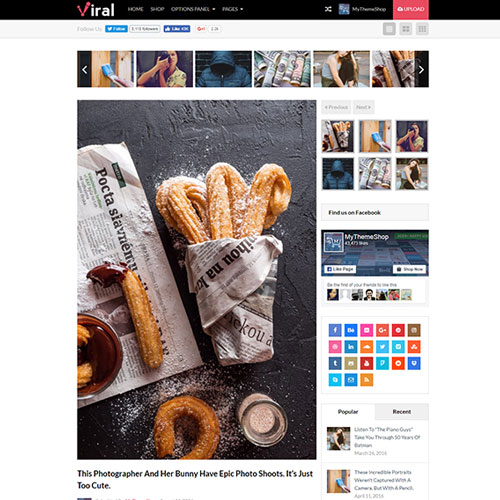 MyThemeShop Viral WordPress Theme MyThemeShop Viral WordPress Theme