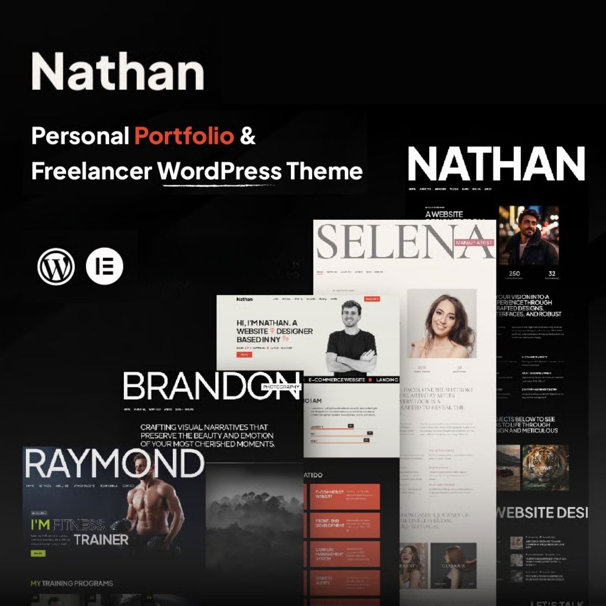 Nathan - Personal Resume CV Portfolio WordPress Theme Nathan - Personal Resume CV Portfolio WordPress Theme