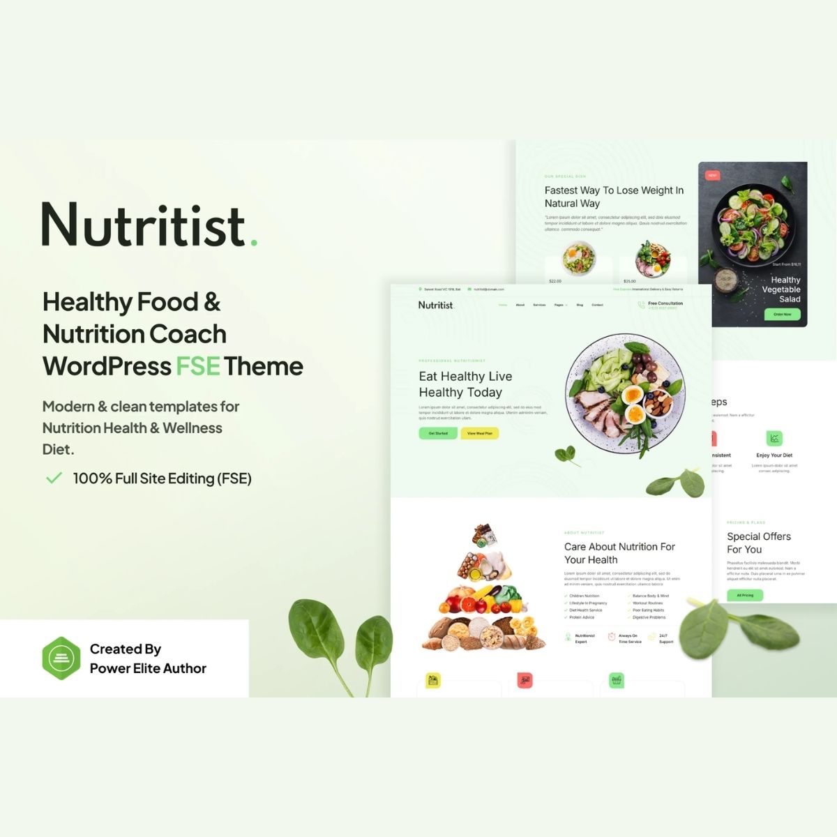 Nutritist – Healthy Food & Nutrition Coach Gutenverse FSE WordPress Theme Nutritist – Healthy Food & Nutrition Coach Gutenverse FSE WordPress Theme
