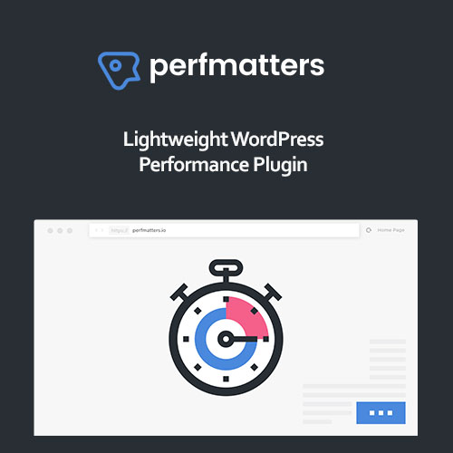 Perfmatters WordPress Plugin Perfmatters WordPress Plugin