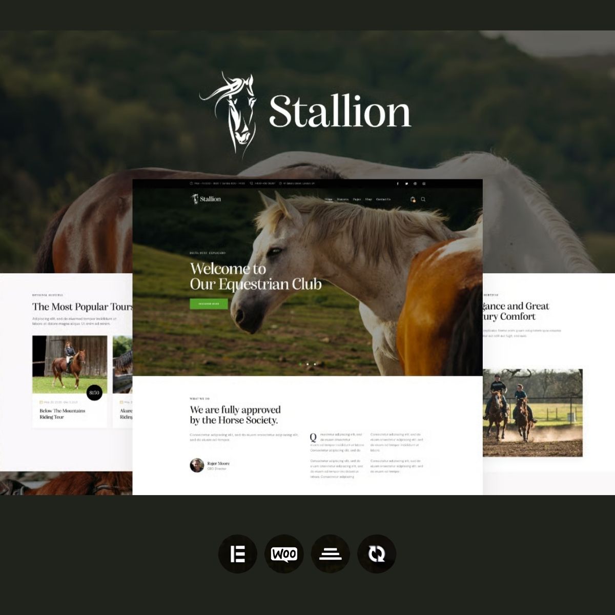 Stallion - Equestrian Club and Horse Riding School WordPess Theme Stallion - Equestrian Club and Horse Riding School WordPess Theme