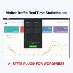 Visitor Traffic Real Time Statistics pro