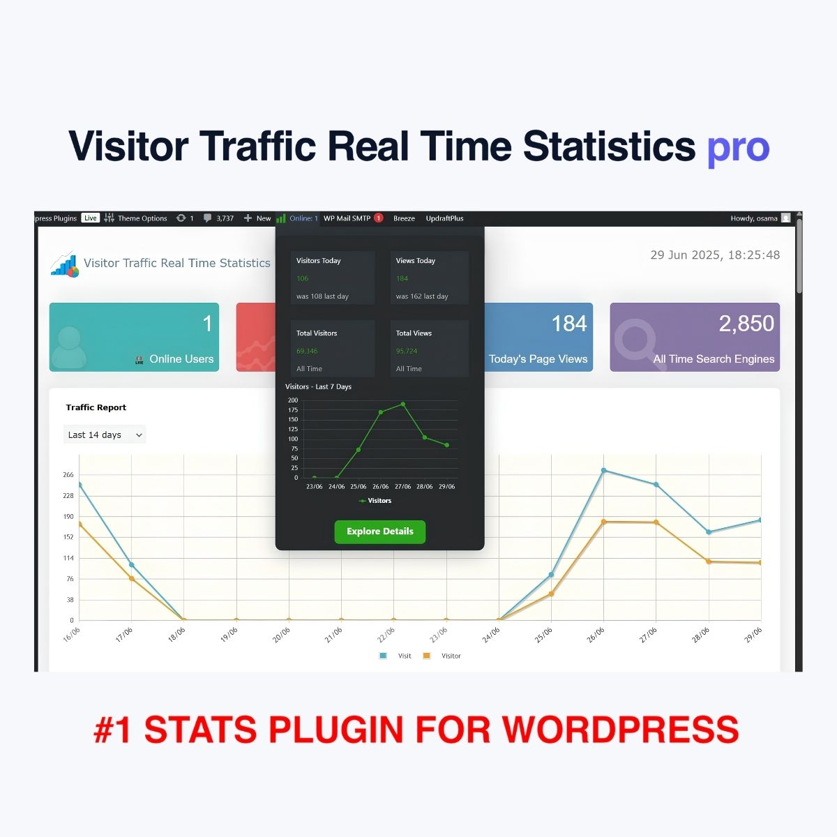 Visitor Traffic Real Time Statistics pro Visitor Traffic Real Time Statistics pro