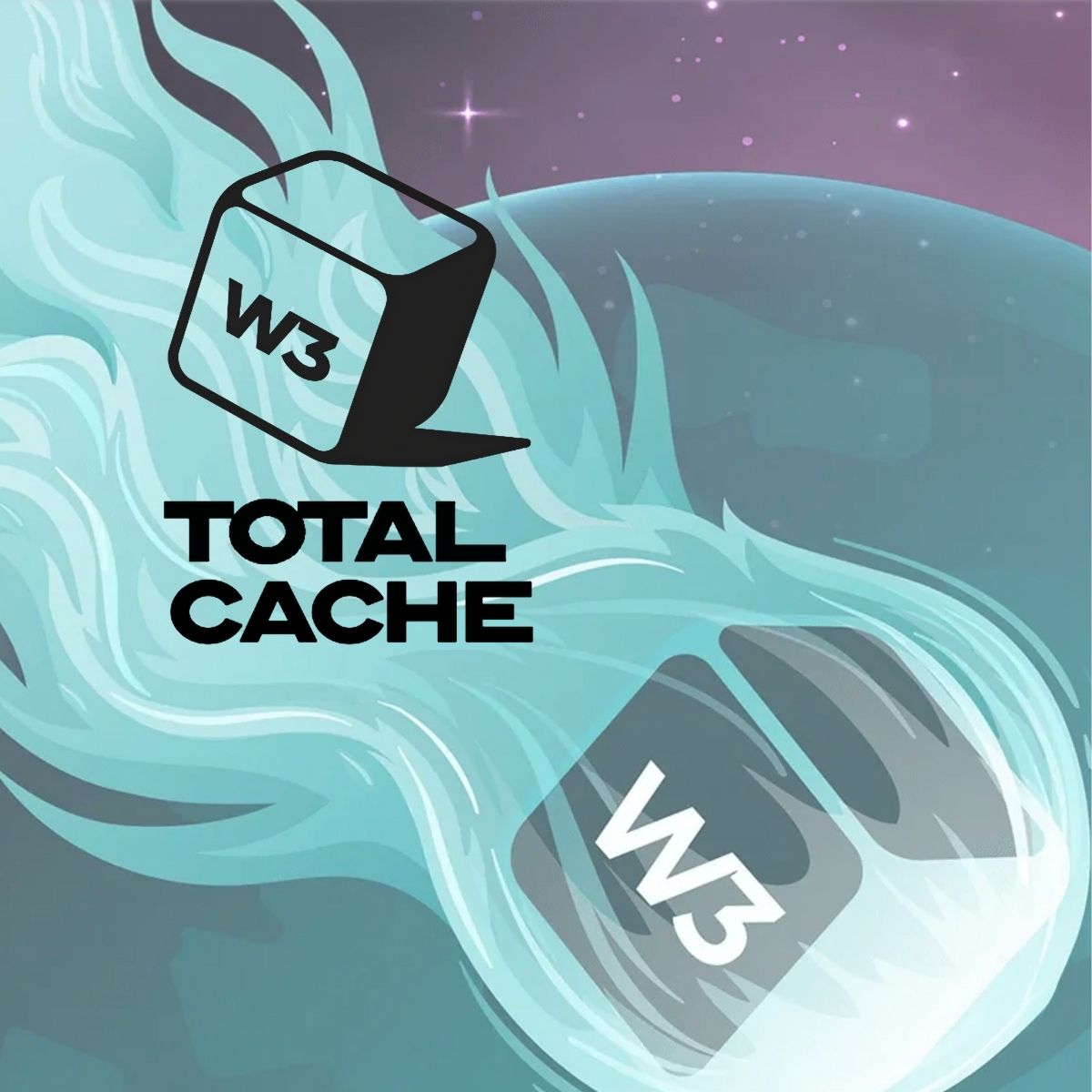 W3 Total Cache W3 Total Cache