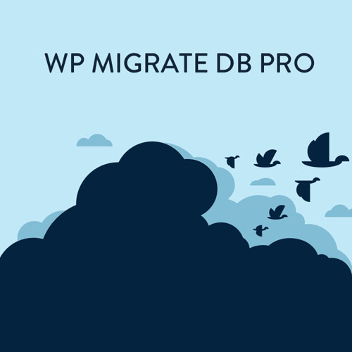 WP Migrate DB Pro WP Migrate DB Pro