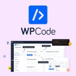 WPCode Pro