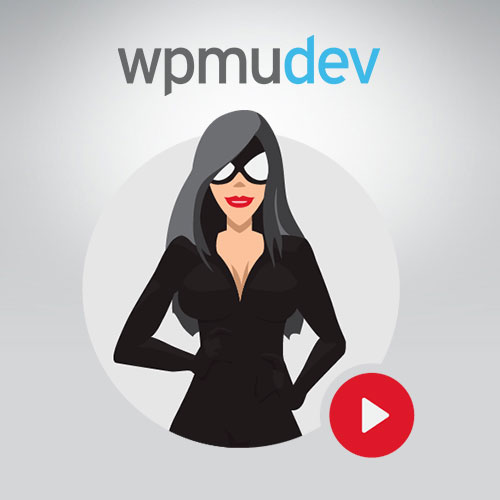 WPMU DEV SmartCrawl Pro WPMU DEV SmartCrawl Pro